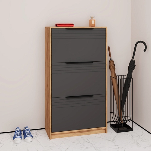 Обувница Астрис-4 Графит - фото 1