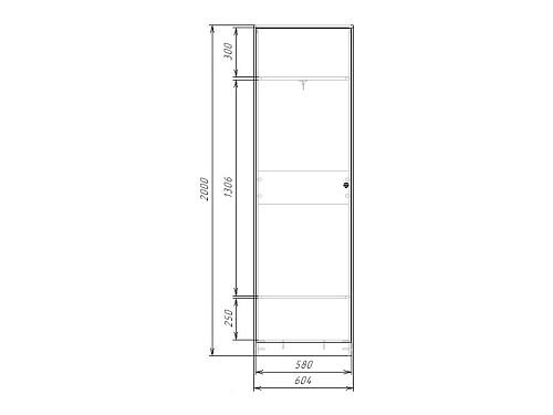 Шкаф распашной Монреаль-1 платье - фото 4