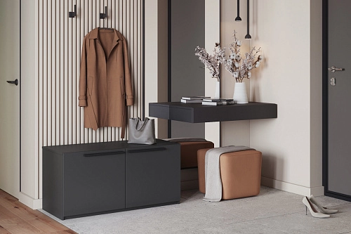 Обувница Лорена Пакс-2 Черный - фото 1