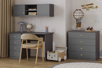 детская Стрекоза-3 Графит