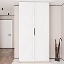 Шкаф распашной Астрис-3 Белый