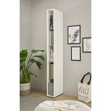 Анси-1 Белый