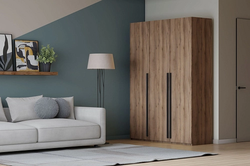 Шкаф распашной Лорена Пакс-3 Дуб Табачный - фото 1