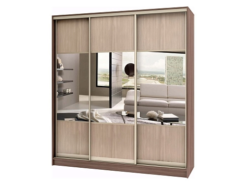 Шкаф-купе Стандарт-3.1 - фото 1