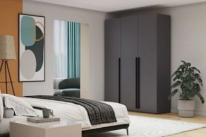 Лорена Пакс-3 Графит