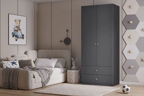 Шкаф распашной Стрекоза-2.2 Графит - фото 1