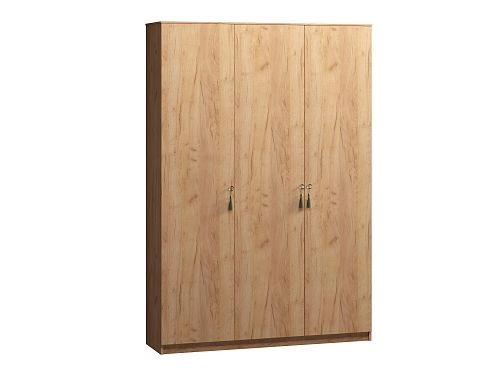 Шкаф распашной Монтана-3 Дуб Крафт Золотой - фото 3