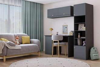 детская Стрекоза-1 Графит