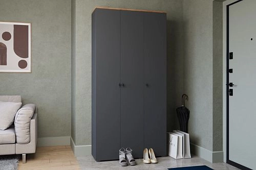 Шкаф распашной Квели 3 Графит - фото 1