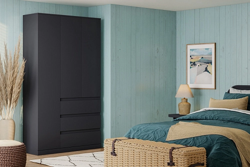 Шкаф распашной Стефани Мальм-3 Черный - фото 1