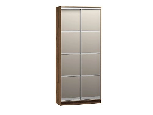 Шкаф-купе Борнео-2.1 Дуб Делано/Серебро - фото 2