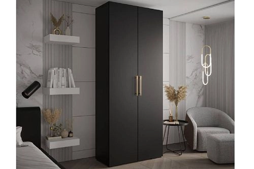 Шкаф распашной Лавис-2 Чёрный - фото 1