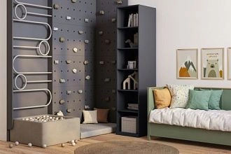 Стрекоза Графит