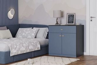 Стрекоза-1 Космея