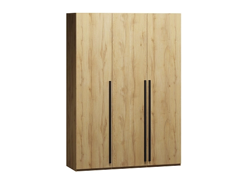 Шкаф распашной Лорена Пакс-3 Дуб Золотистый - фото 2