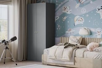 Стрекоза-2 Графит