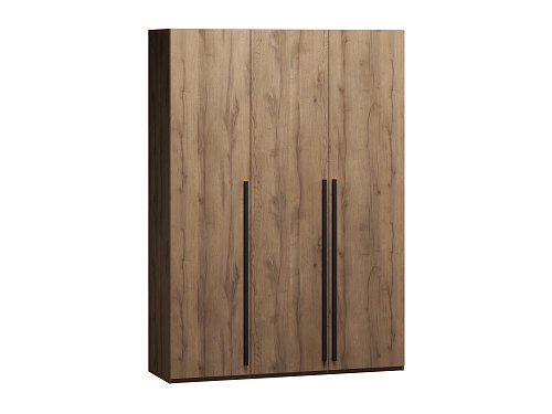 Шкаф распашной Лорена Пакс-3 Дуб Табачный - фото 2