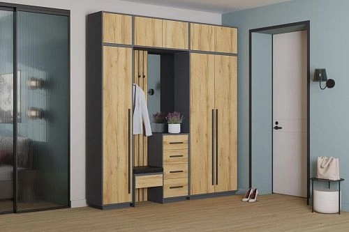 Прихожая Неаполь-4 Графит - фото 1