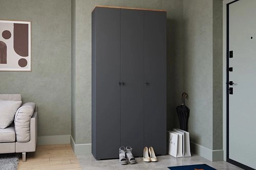 Шкаф распашной Квели 3.1 Графит - фото 1