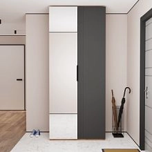 Астрис-2 с зеркалом Графит