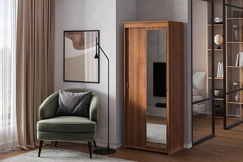 Шкаф-купе Миллениум-2 Орех Экко - фото 1