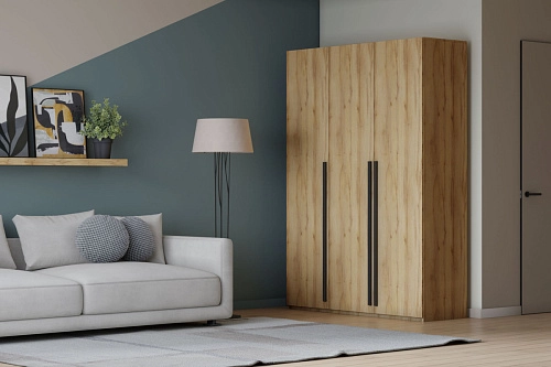 Шкаф распашной Лорена Пакс-3 Дуб Золотистый - фото 1