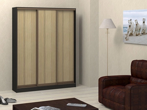 Шкаф-купе Адриано-3 - фото 1